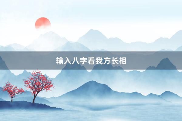 输入八字看我方长相